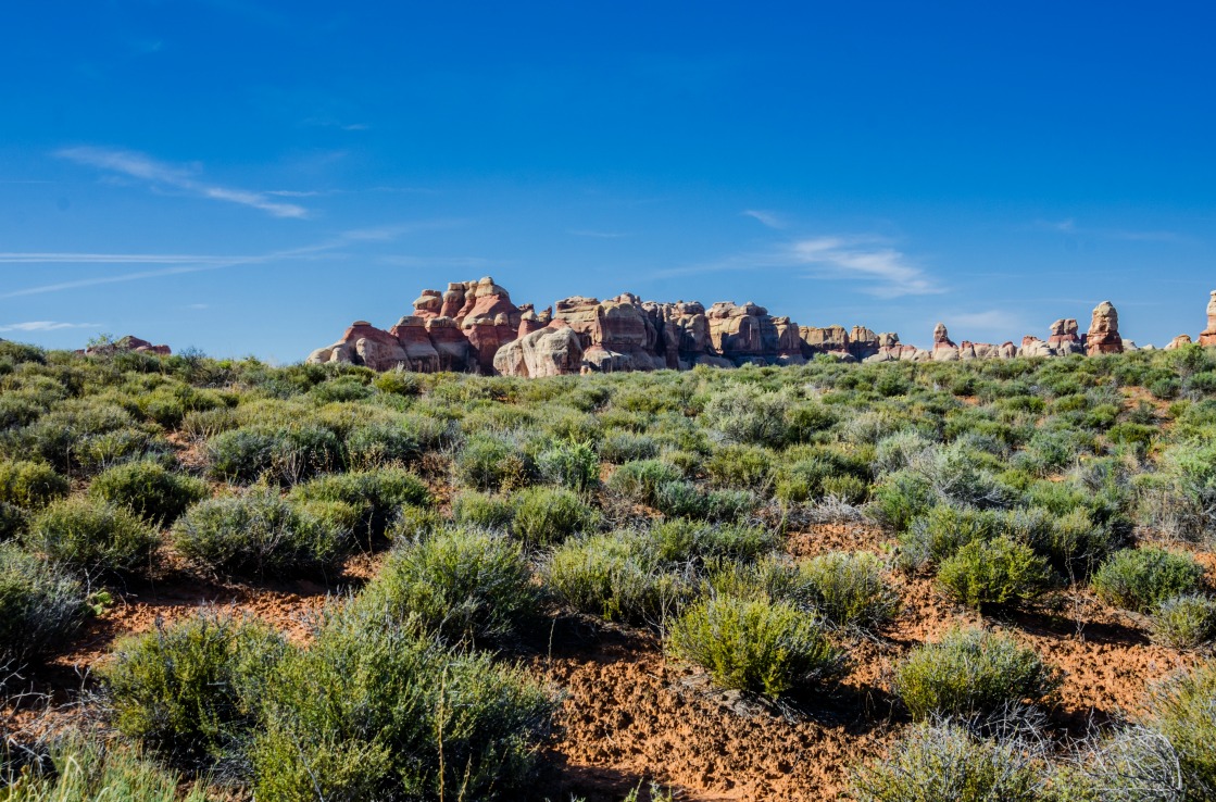 Panorama mit Büschen und Steinzug in den Canyonlands, Utah.